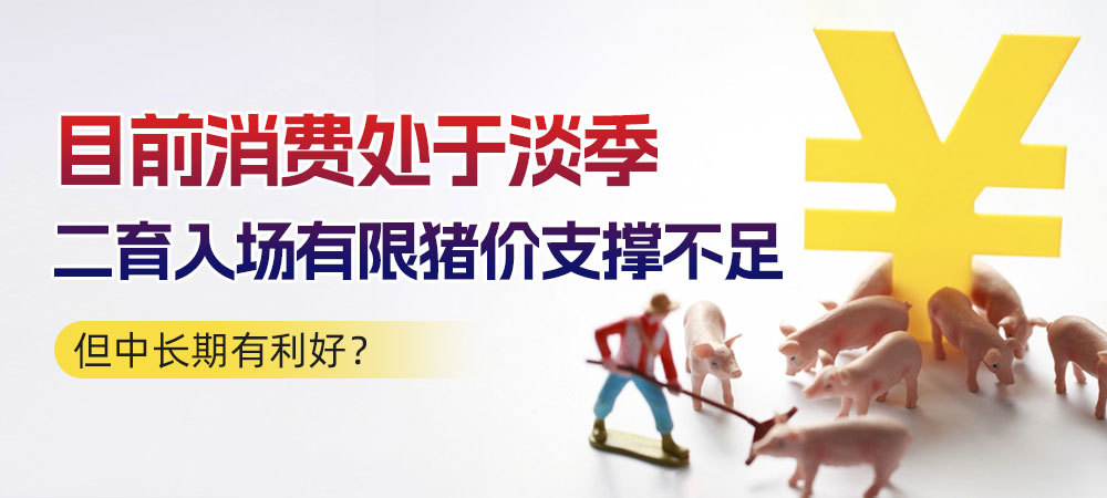 目前消费处于淡季，二育入场有限，猪价支撑不足！但中长期有利好？