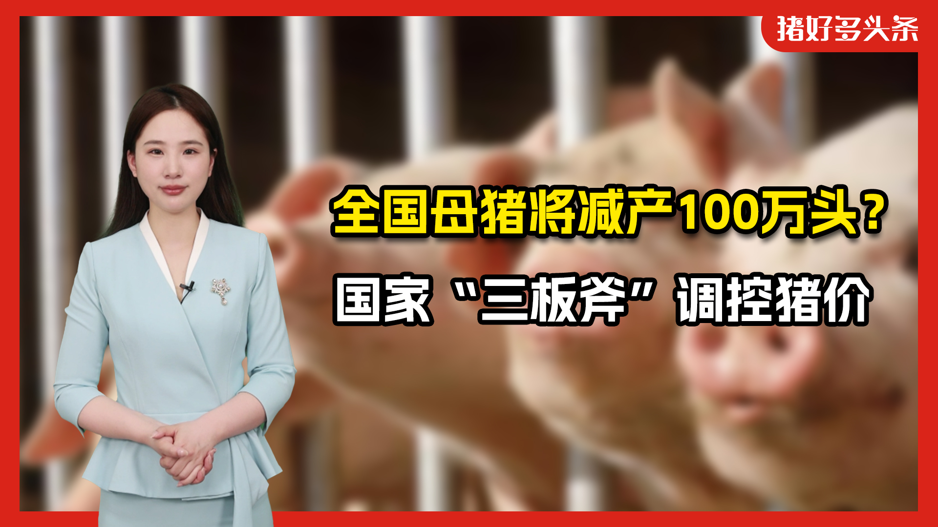 重磅利好！全国母猪将减产100万头？国家“三板斧”调控猪价！