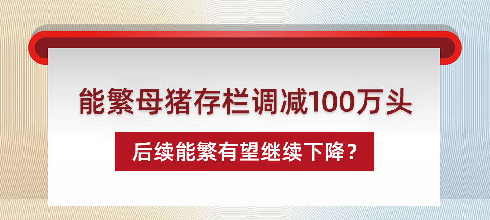 重磅！能繁母猪存栏调减100万头，后续能繁有望继续下降？
