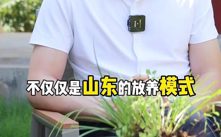 山东生猪放养模式为什么会成功？核心因素是什么？