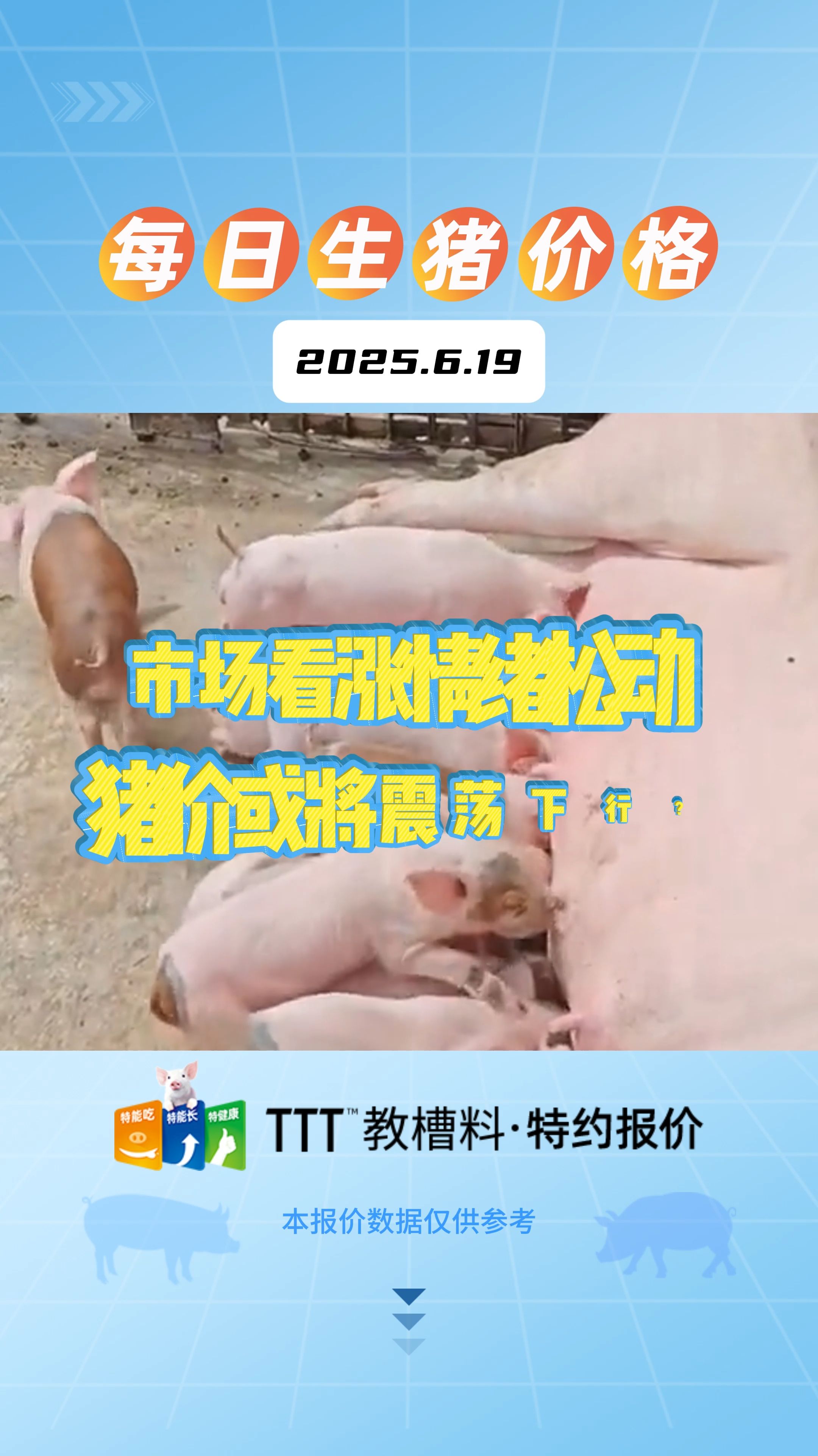 6月19日生猪价格：天气炎热终端需求疲软，后市行情还有的涨吗？