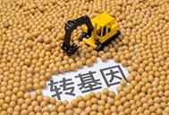 俄罗斯允许进口转基因大豆用于饲料生产，但相关饲料产品必须用于出口