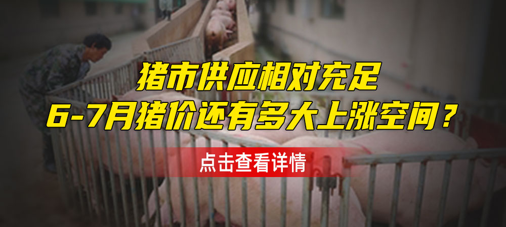 猪市供应相对充足！6-7月猪价还有多大上涨空间？