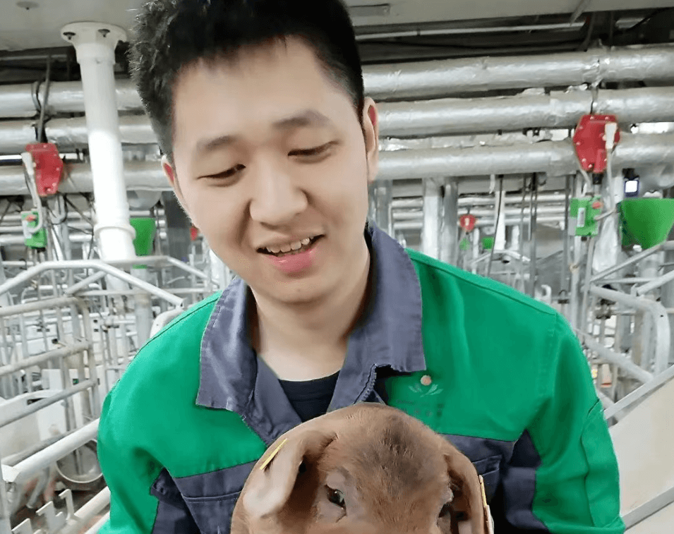 扬翔“学术天团”里的周博士：扎根猪场，书写育种新篇章