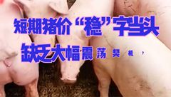 6月22日生猪价格：短期猪价“稳”字当头，缺乏大幅震荡契机？