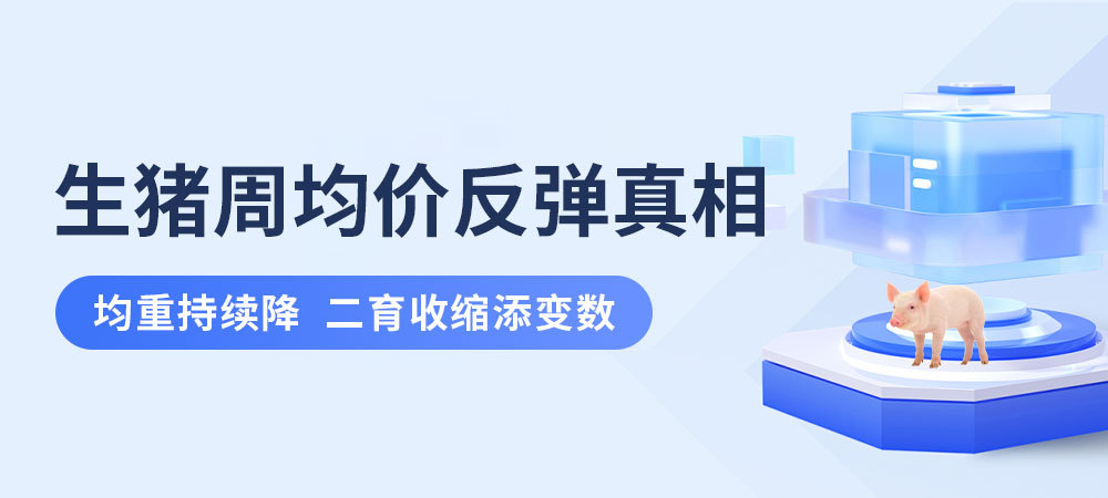 生猪周均价反弹真相：均重持续降，二育收缩添变数