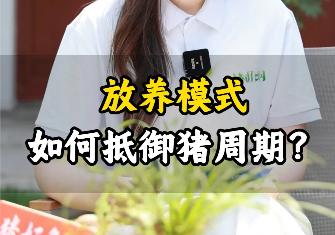 放养模式如何抵御猪周期！