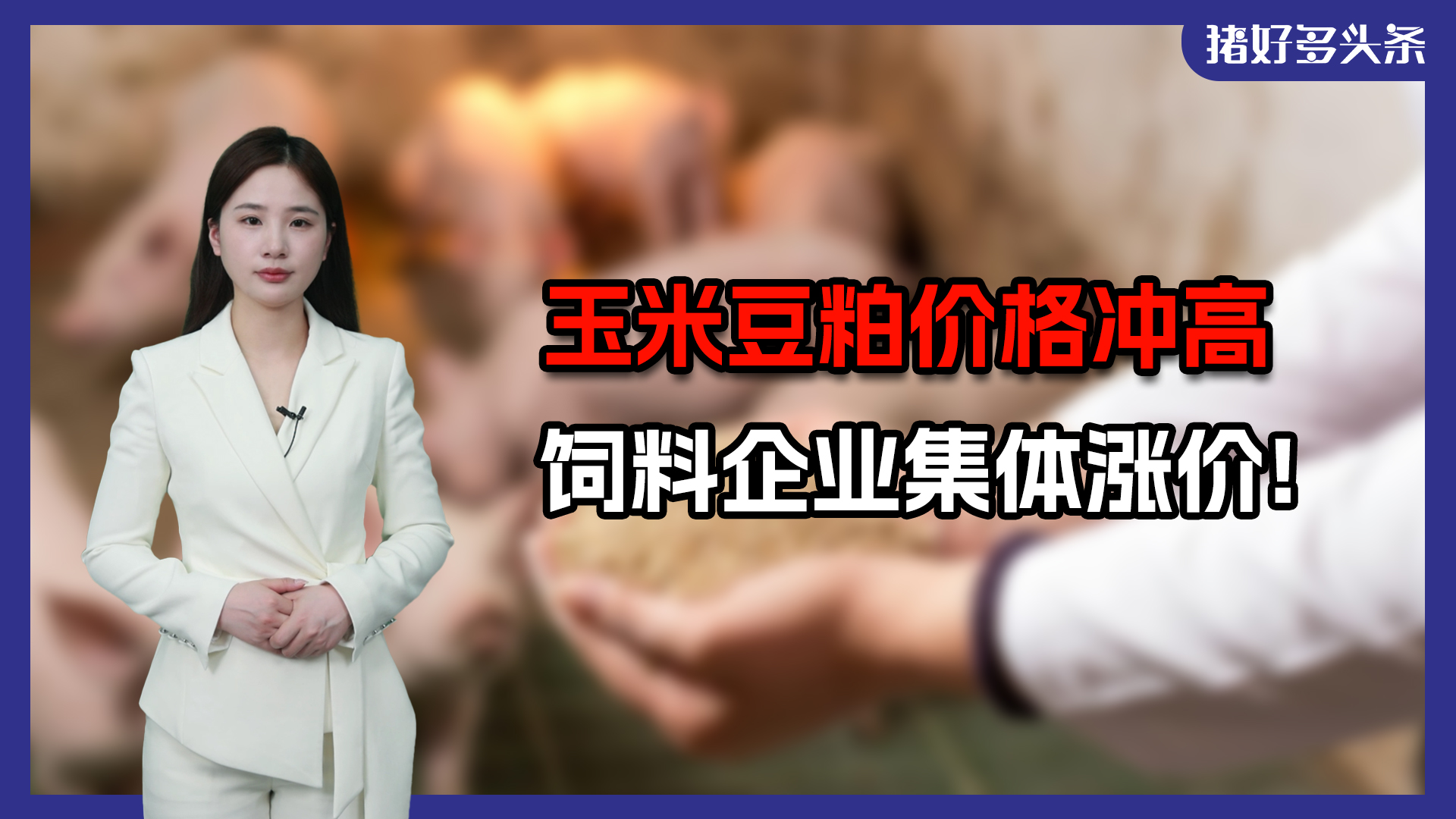 饲料再涨100元/吨！新希望、海大、双胞胎等数十家饲企宣布涨价！