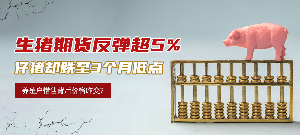 生猪期货反弹超5%，仔猪却跌至3个月低点，养殖户惜售背后价格咋变？
