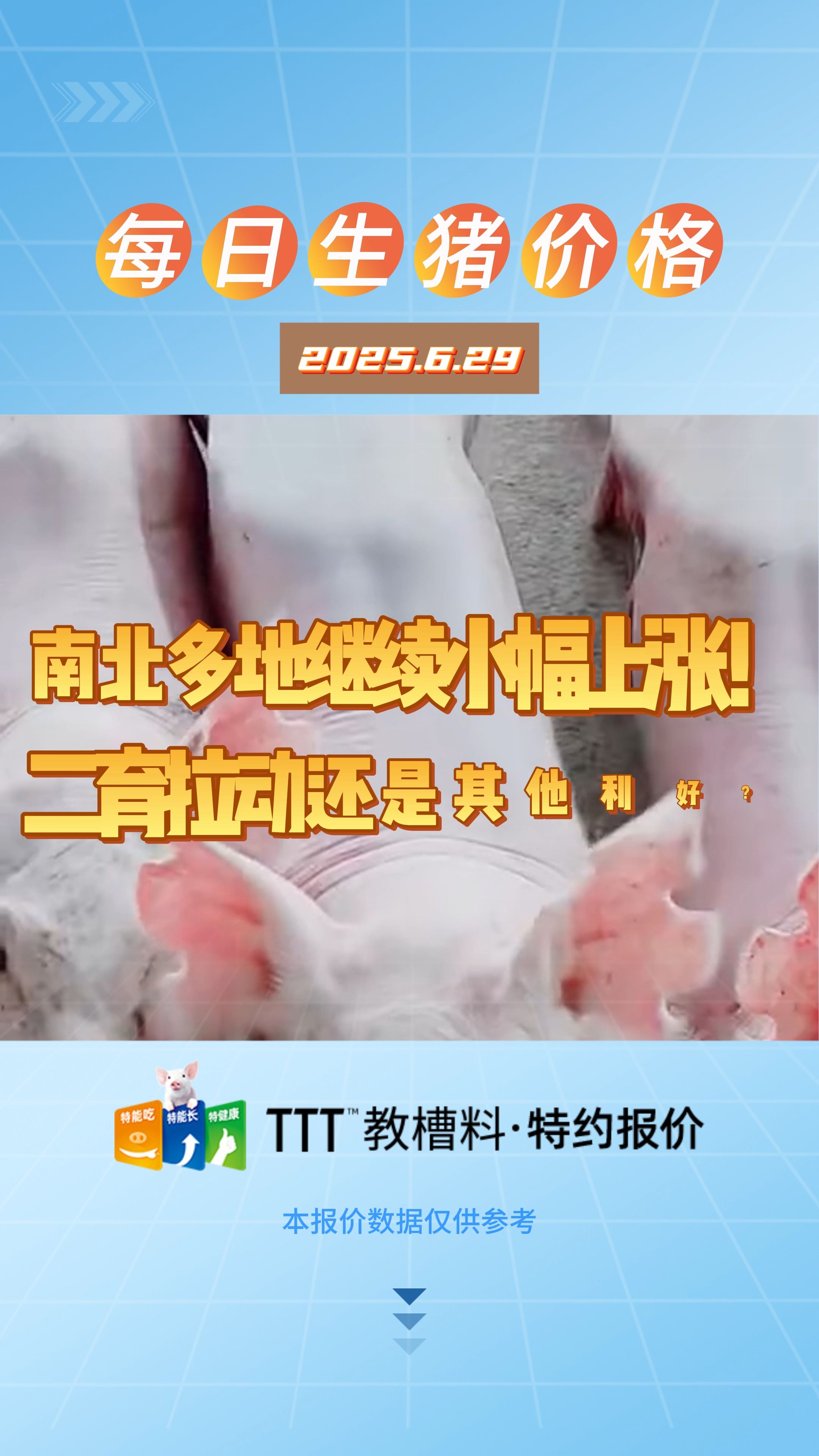 6月29日生猪价格：大场继续上涨，市场有何利好？