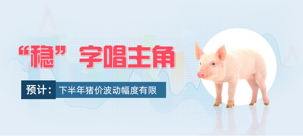 “稳”字唱主角，预计下半年猪价波动幅度有限