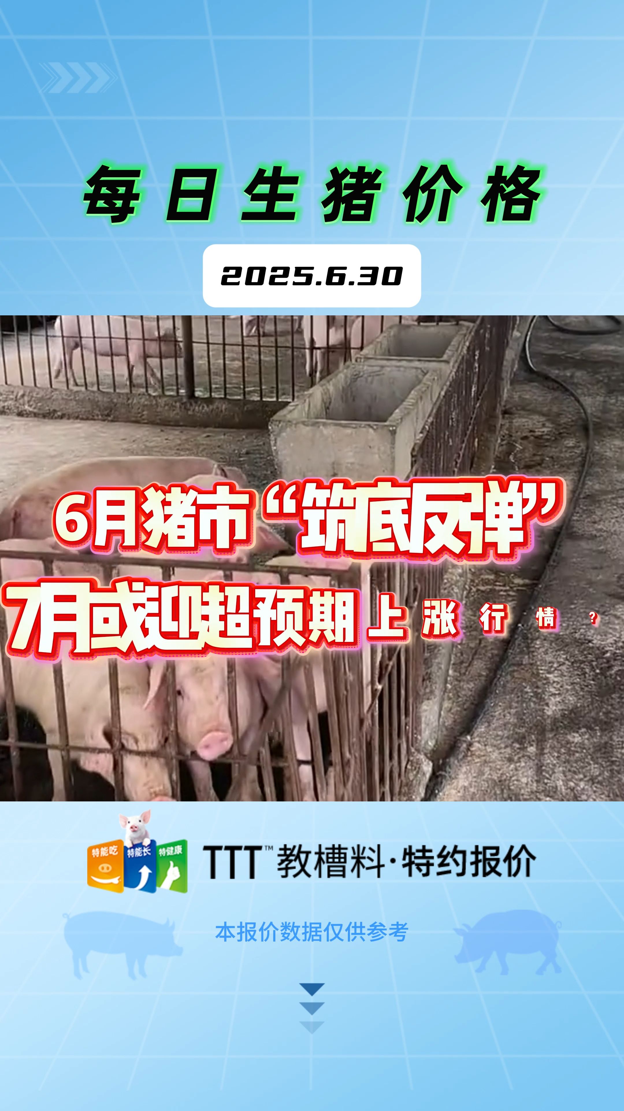 6月30日生猪价格：大场缩量较为明显，猪价涨跌调整！
