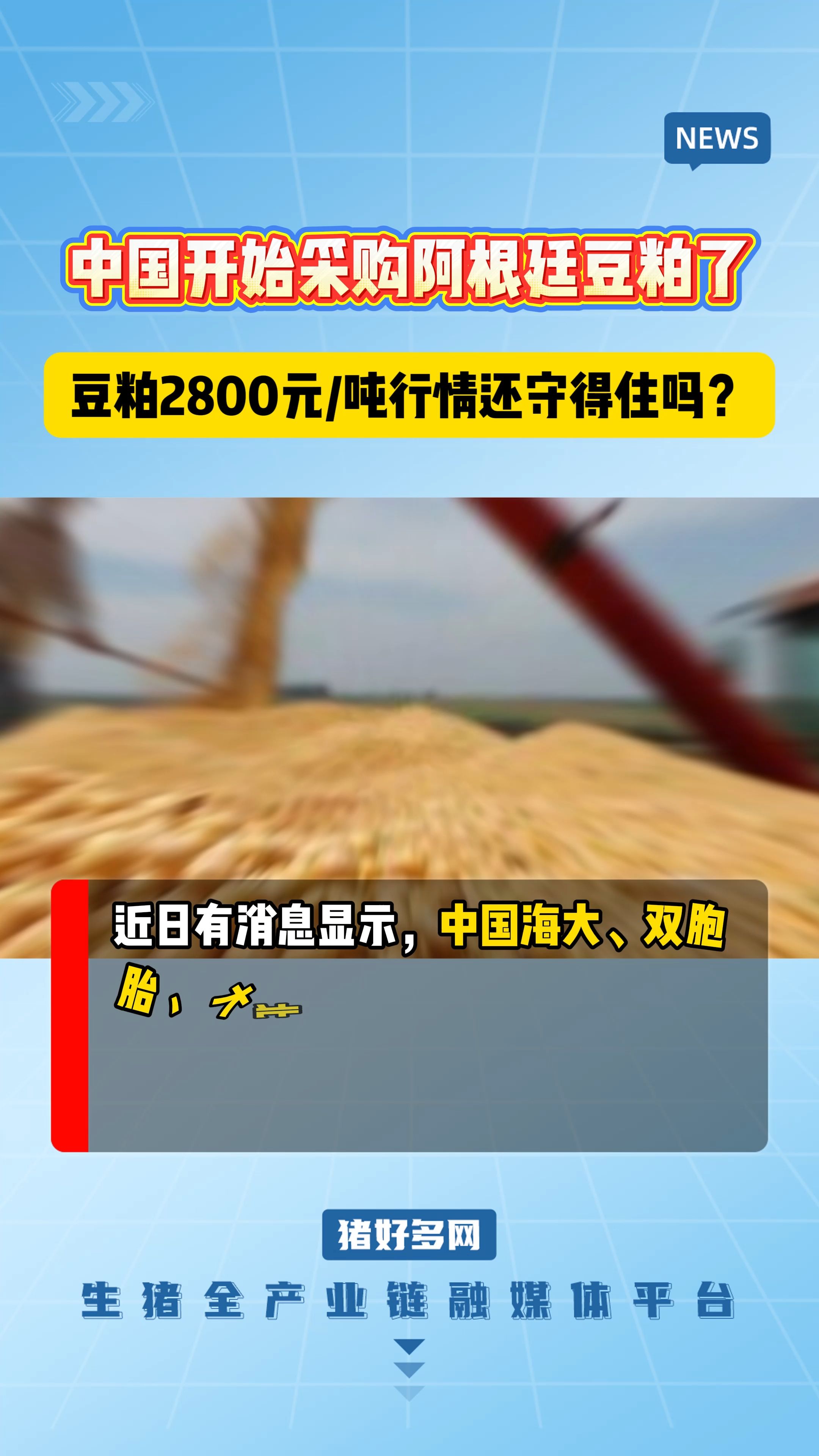 中国开始采购阿根廷豆粕了！豆粕2800元/吨行情还守得住吗？