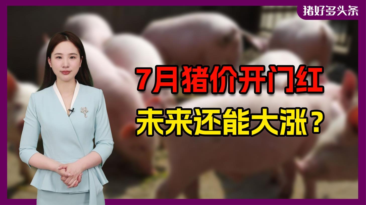 猪价大涨20天！农业农村部：继续展开减产指导，防止猪企逆势扩张