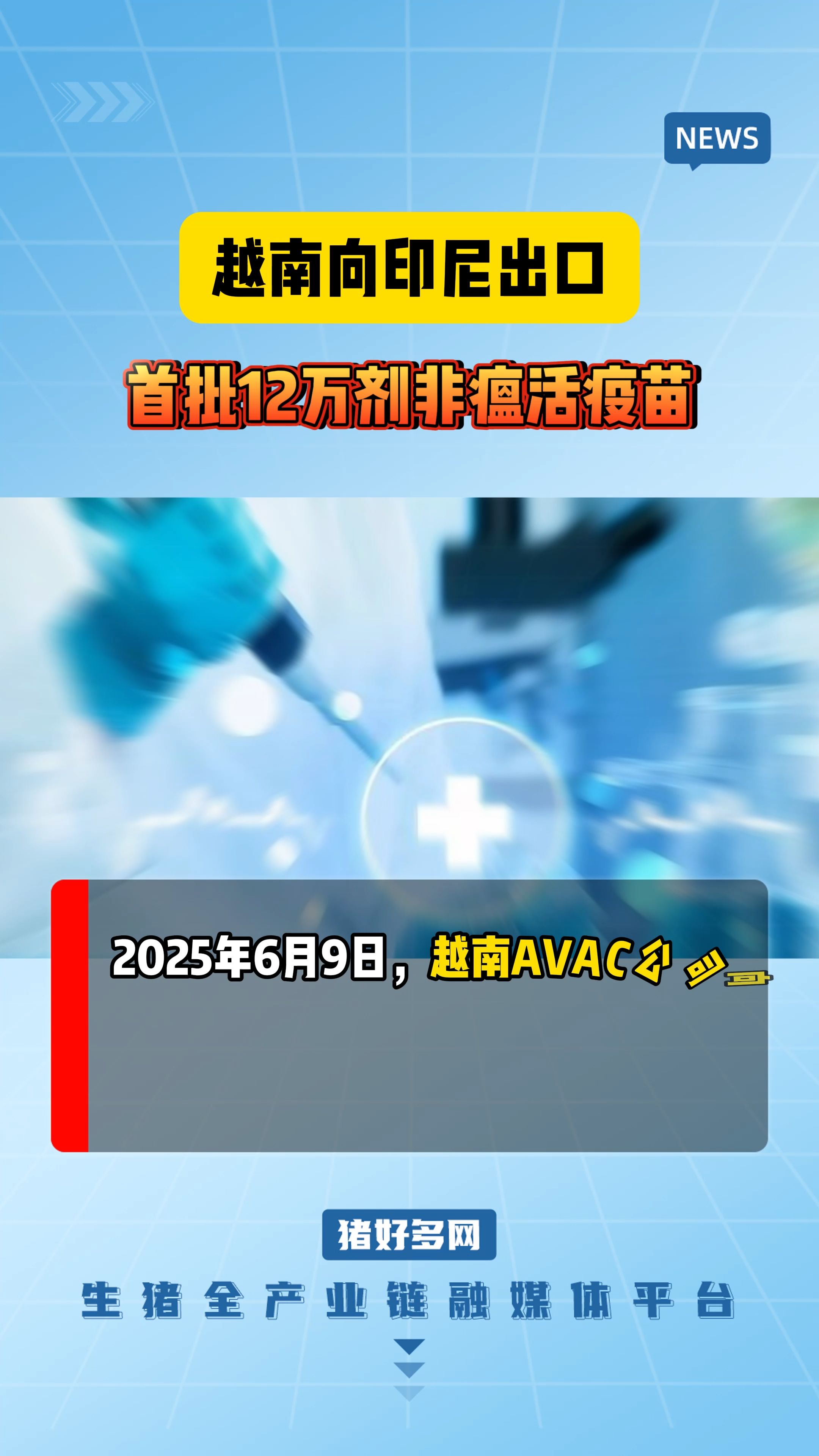 越南向印尼出口首批12万剂非瘟活疫苗