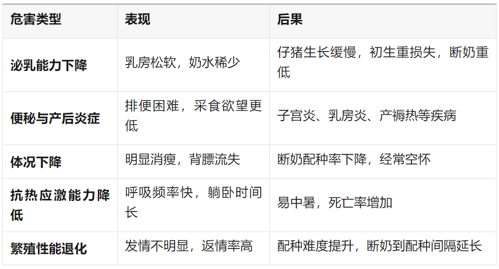 夏季产房母猪采食量下降的危害