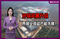 环保风暴升级！未来2年母猪或减产580-780 万头，3类猪场将被淘汰