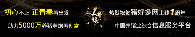 猪好多一周年